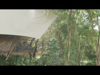 [himerostv] - earth's embrace – (leo louis sam vu)